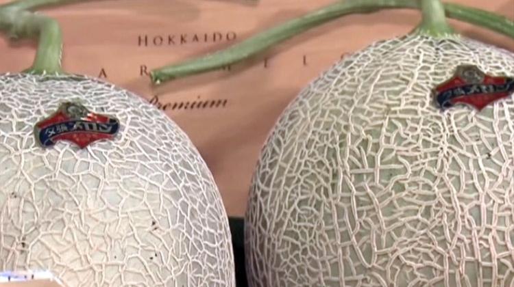 Par Pipuna s Hokaida Par Pipuna s Hokaida