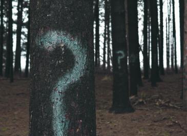 unsplash.com